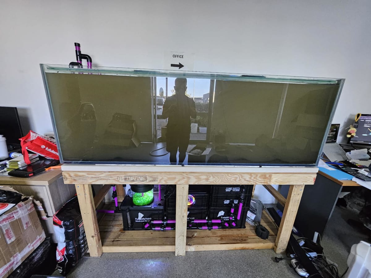 Freshwater Tank Setup - Media 2