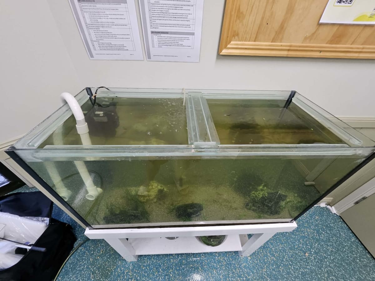 Childcare Centre Tank Maintenance - Main Image