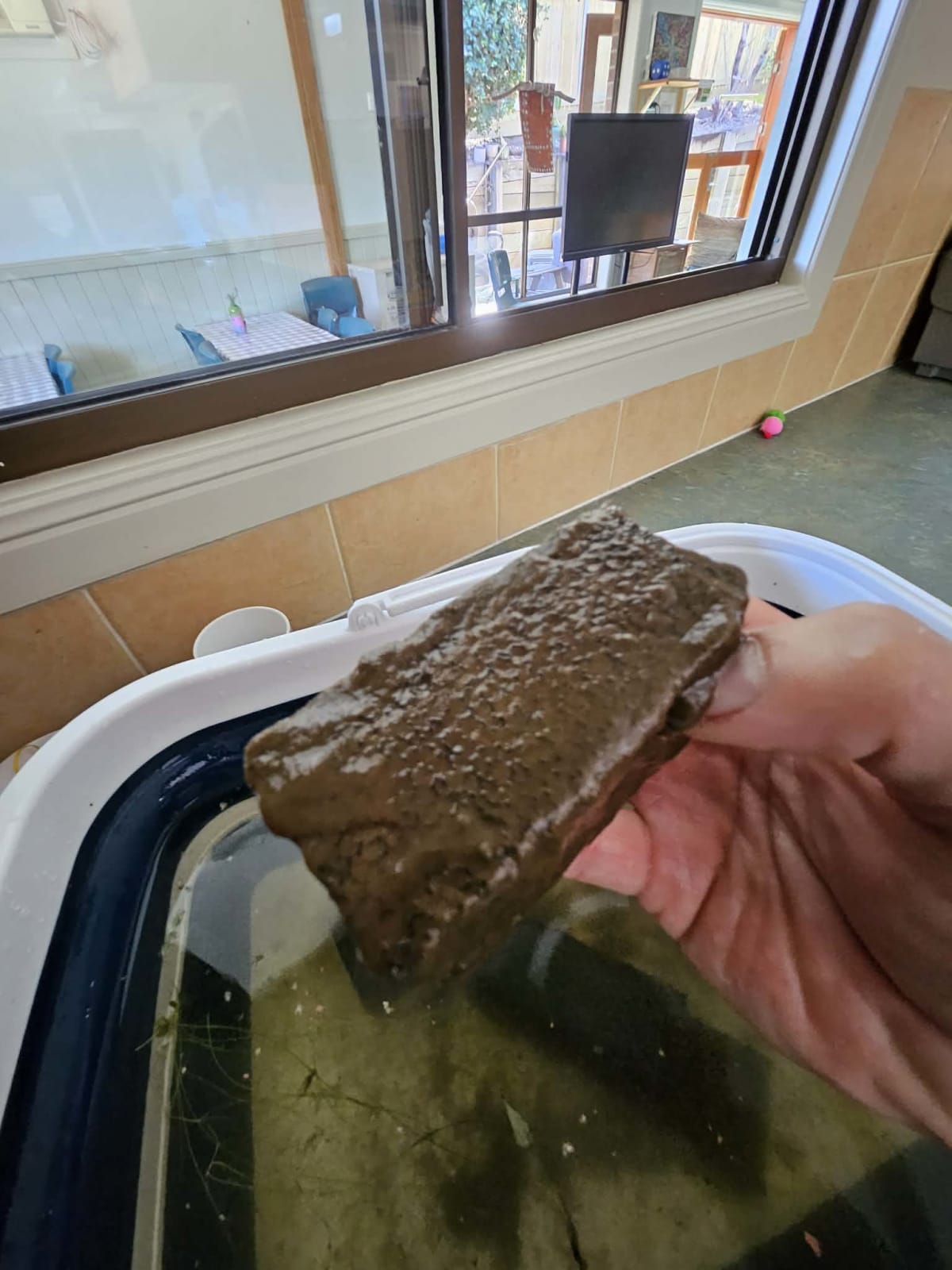 Childcare Centre Tank Maintenance - Media 2