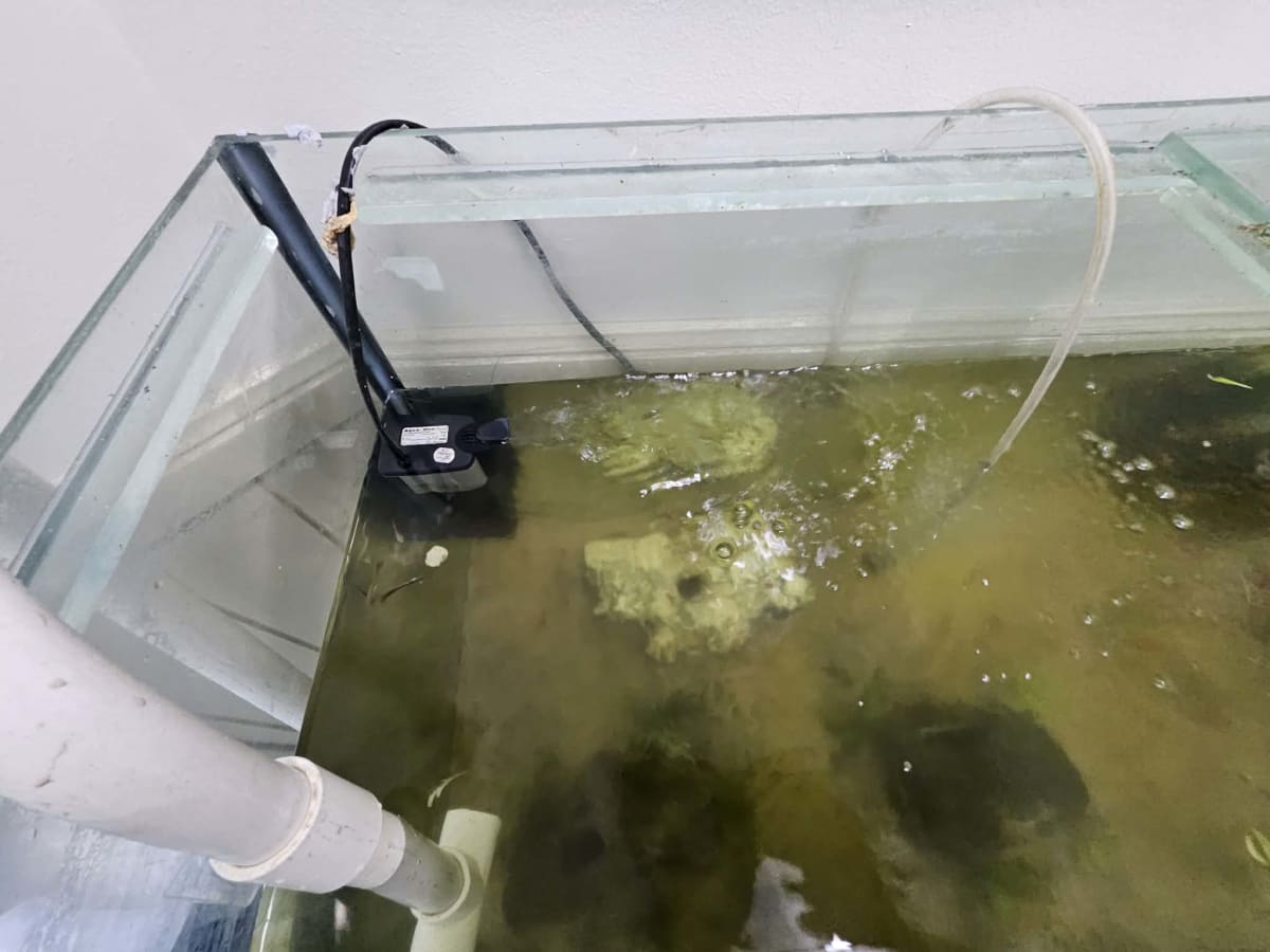 Childcare Centre Tank Maintenance - Media 4