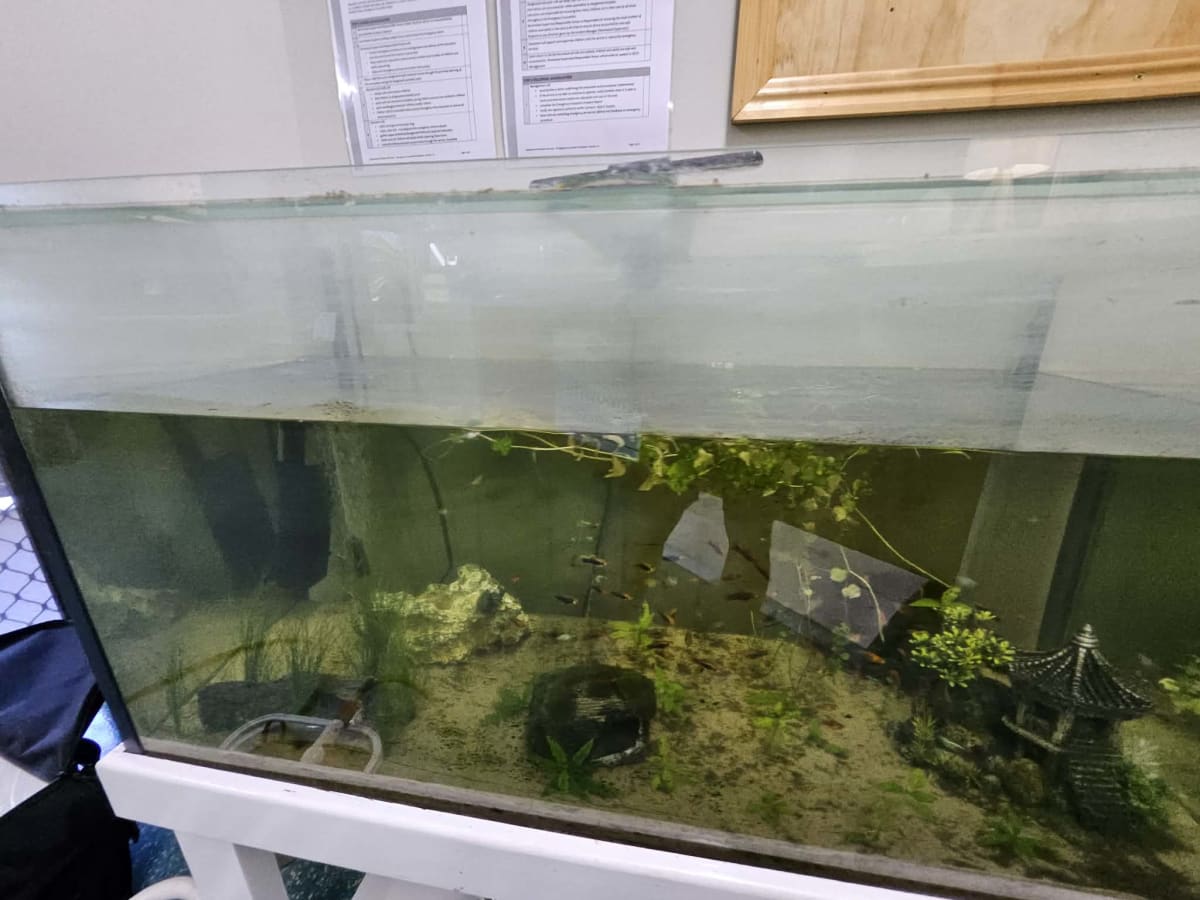Childcare Centre Tank Maintenance - Media 5