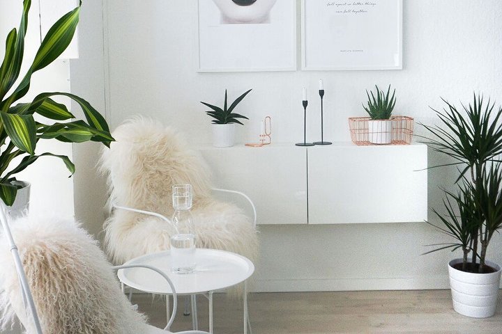 Deluxe Cosmetic Studio