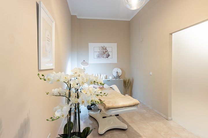 VELVET SKIN INSTITUT