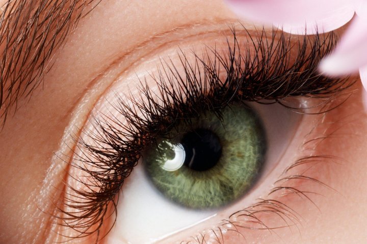 Maggie Lashes Wimpernverlängerung