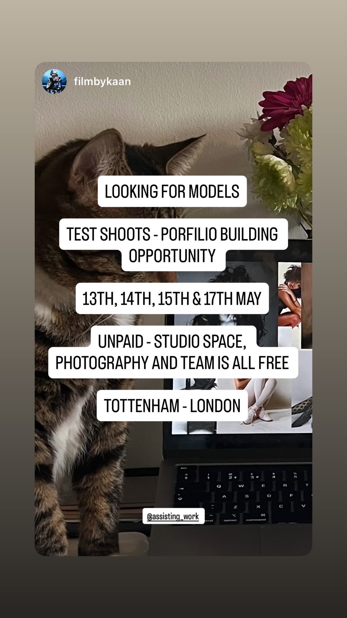 Job post media