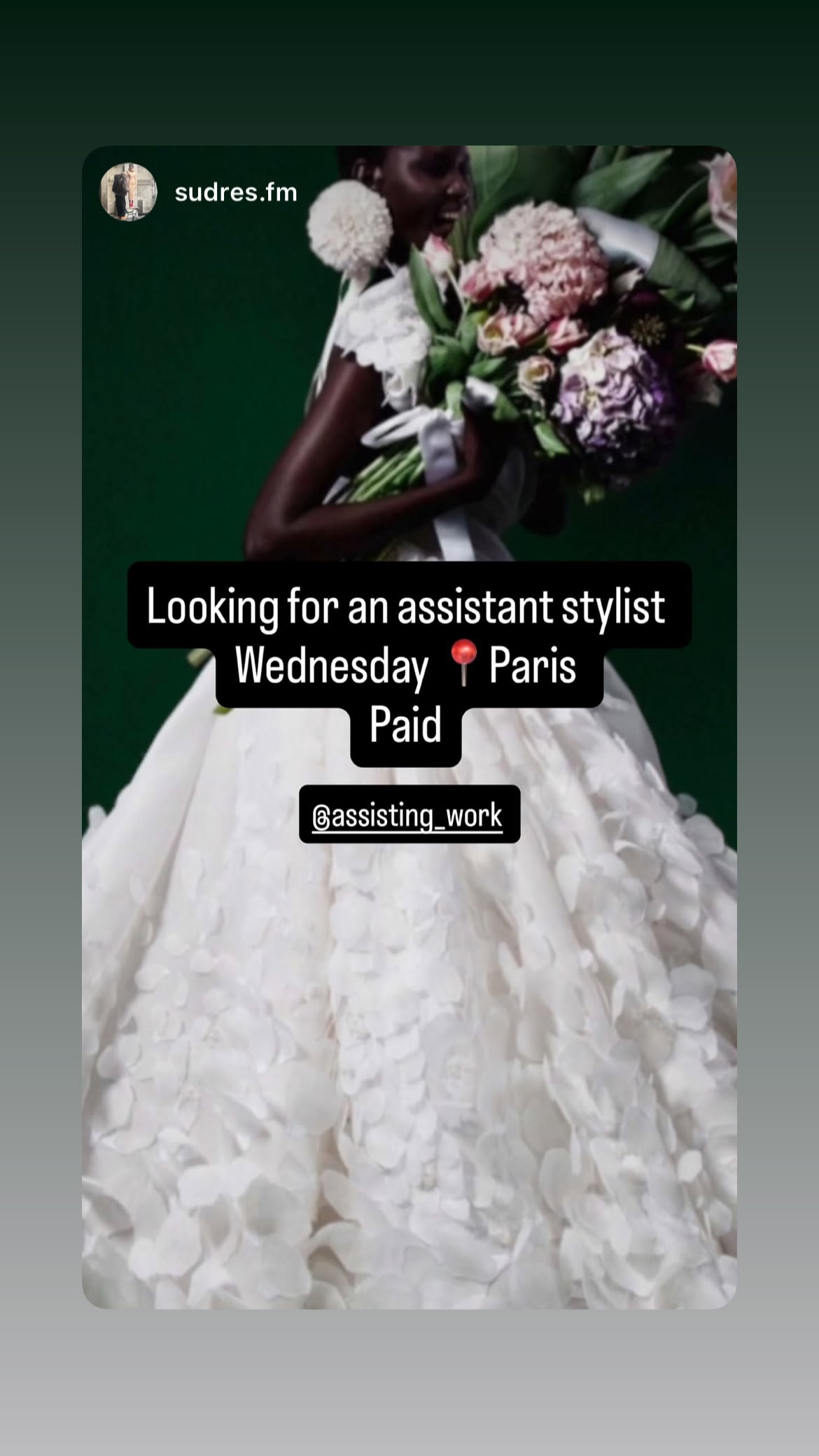 Job post media