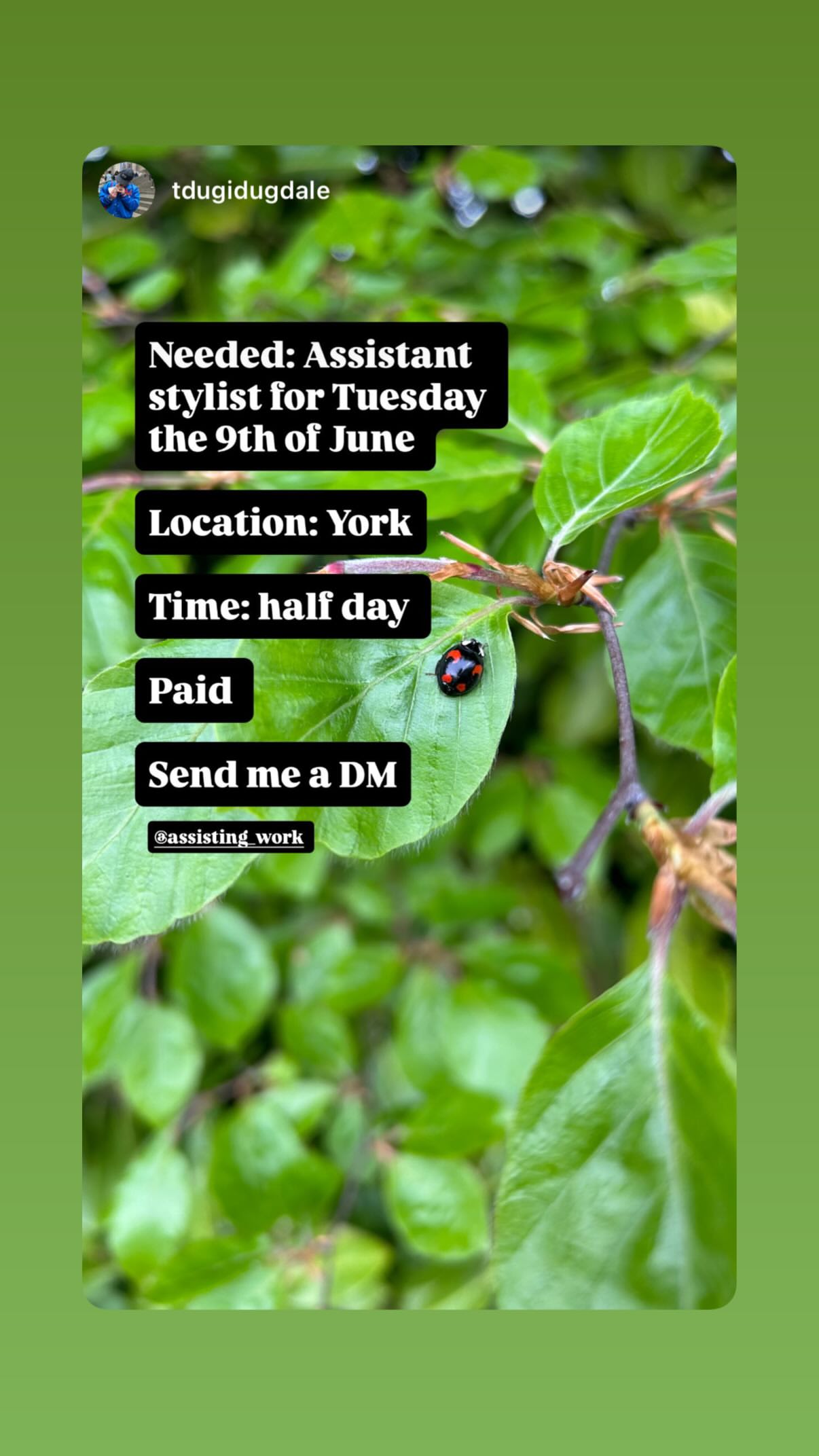 Job post media