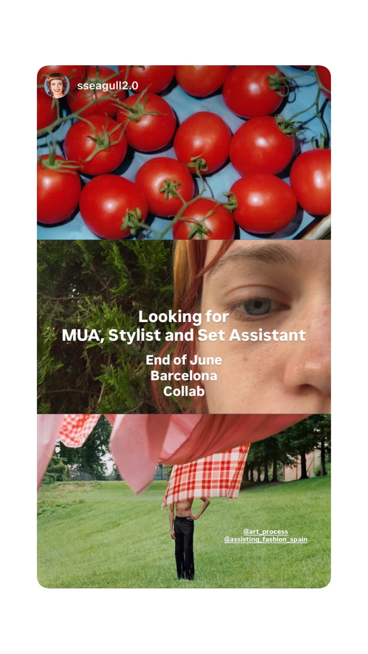 Job post media