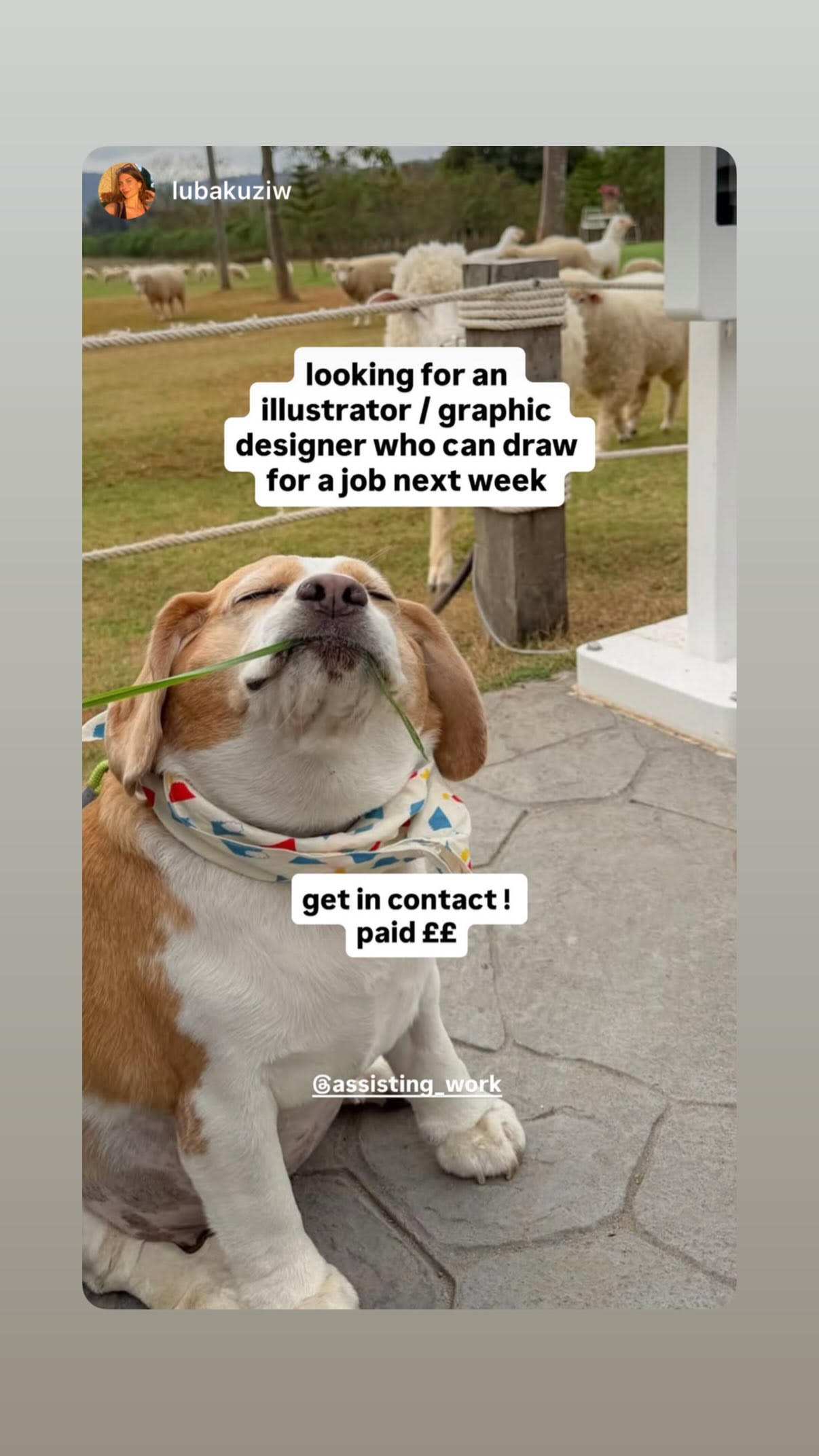 Job post media