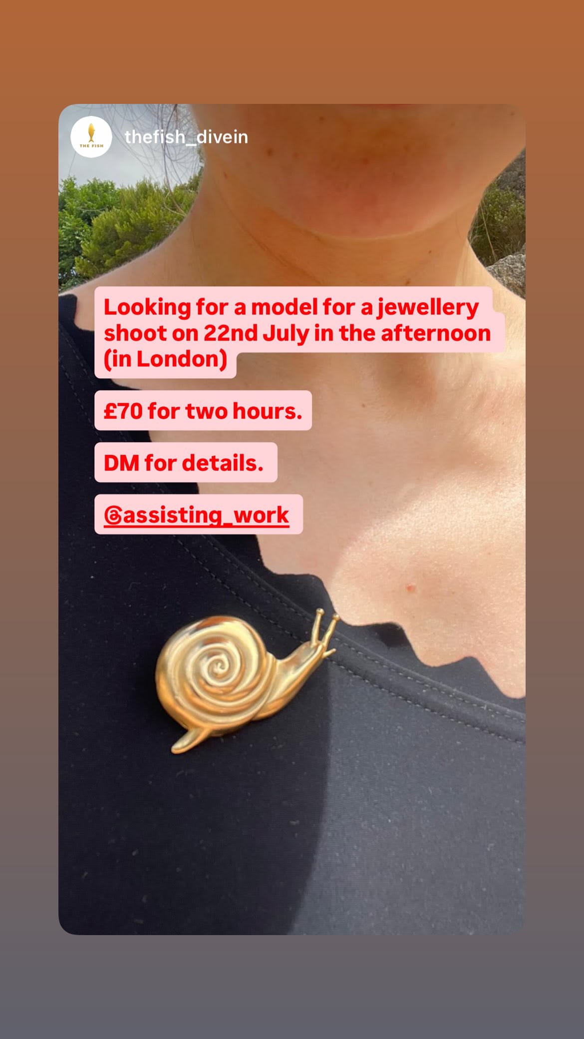 Job post media
