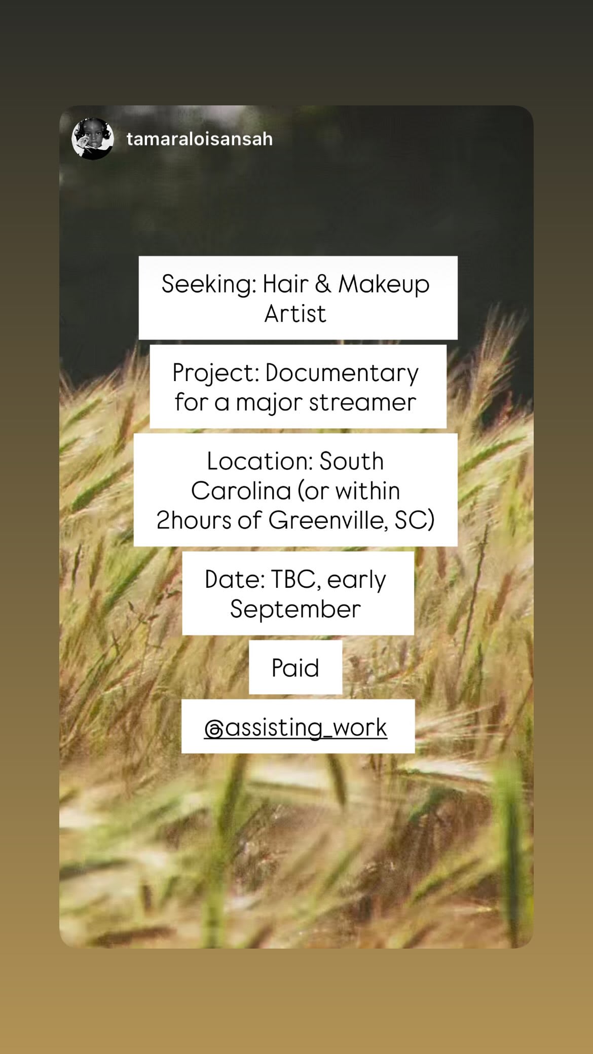 Job post media