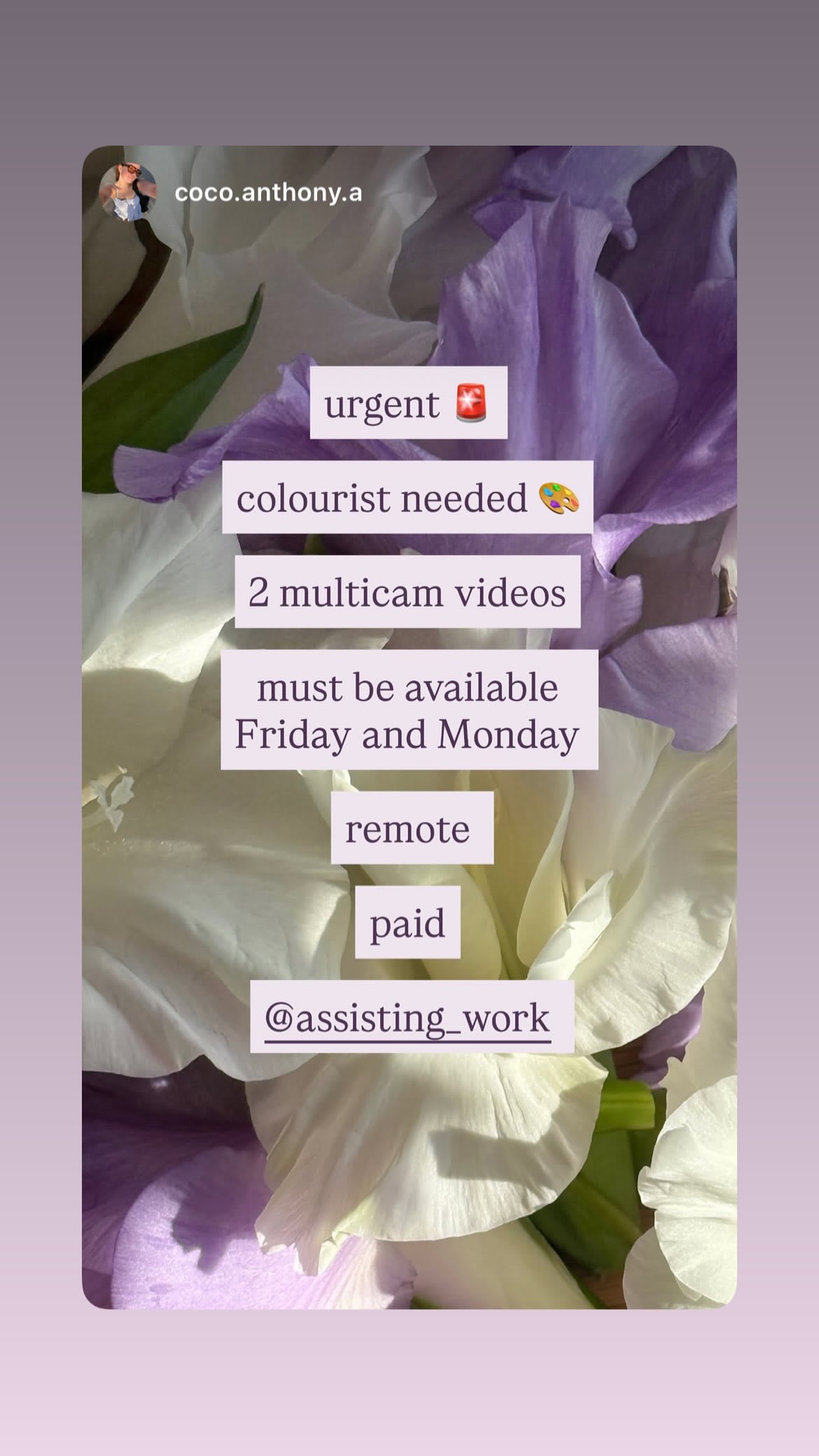 Job post media