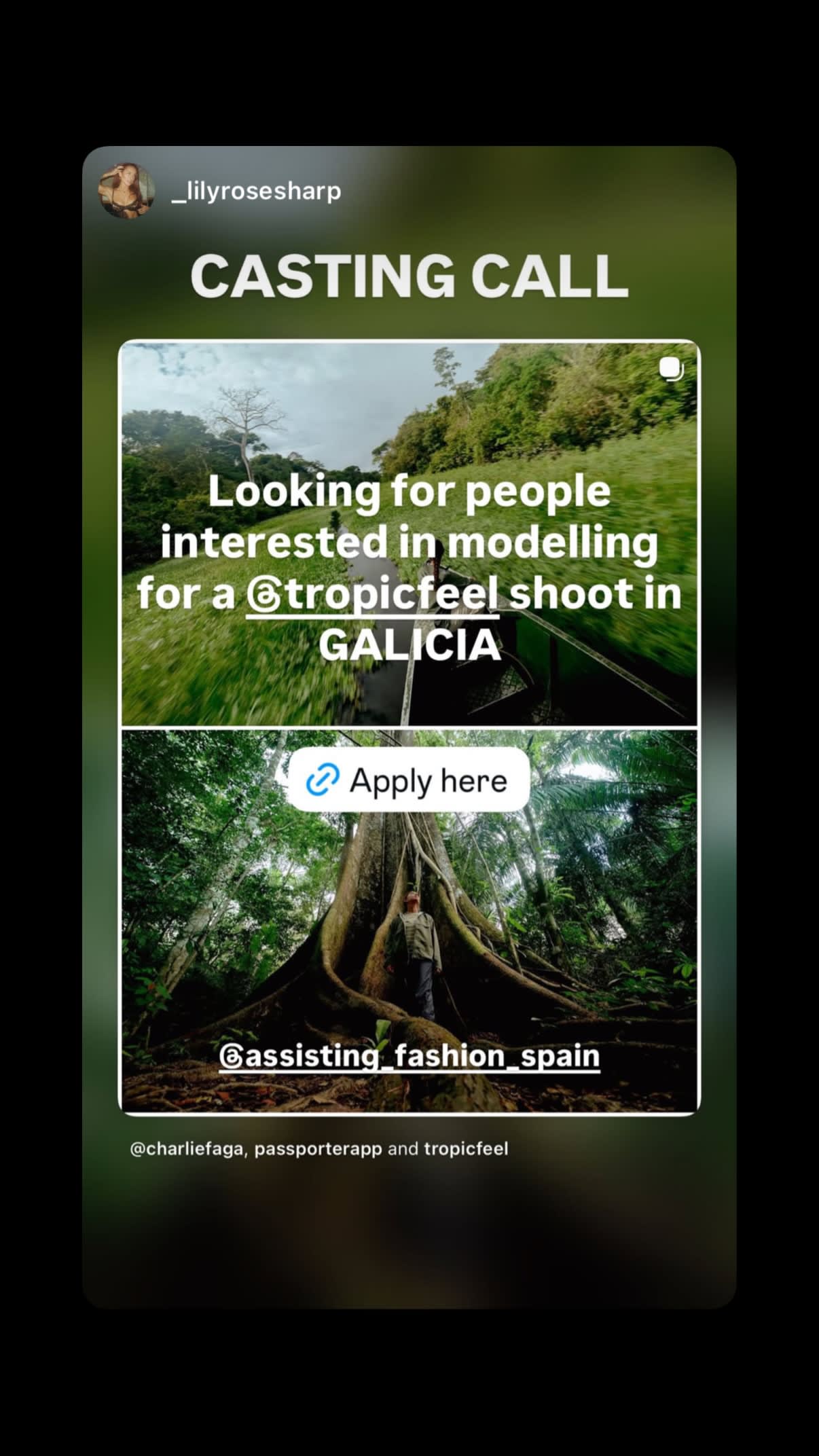 Job post media