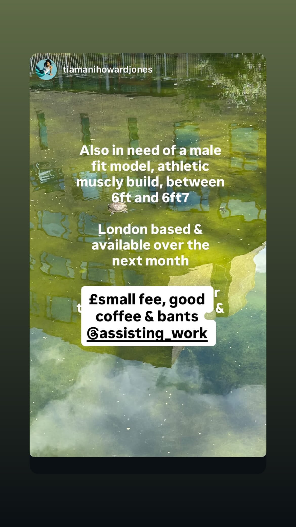 Job post media