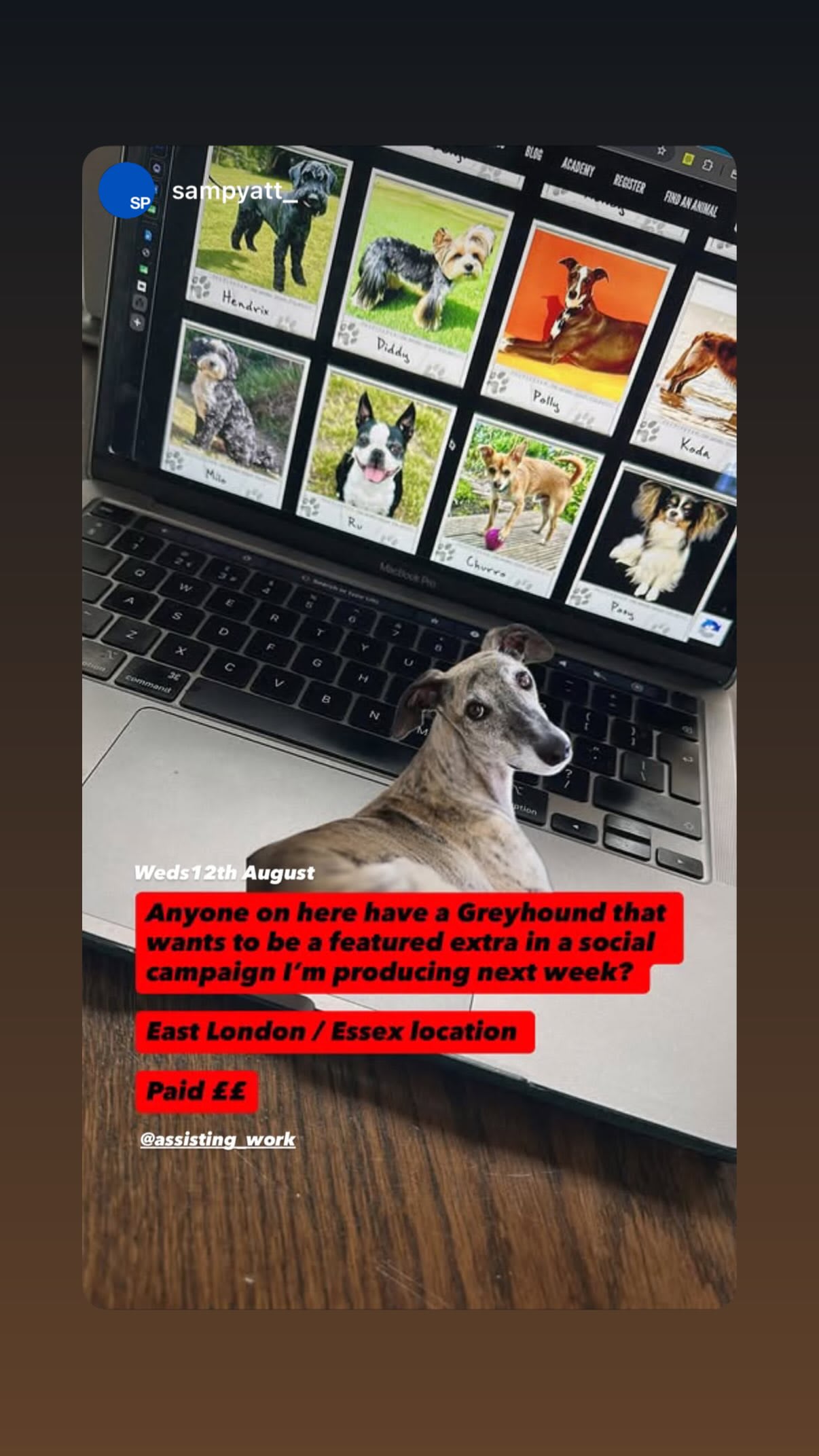 Job post media