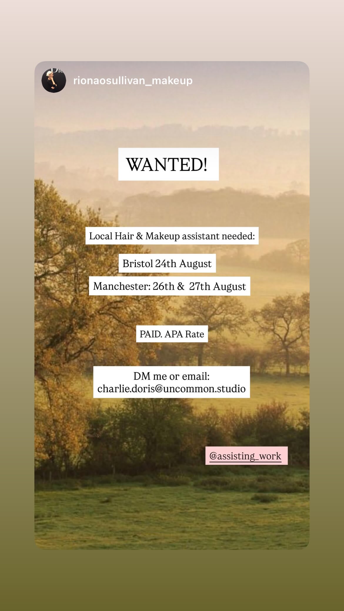 Job post media