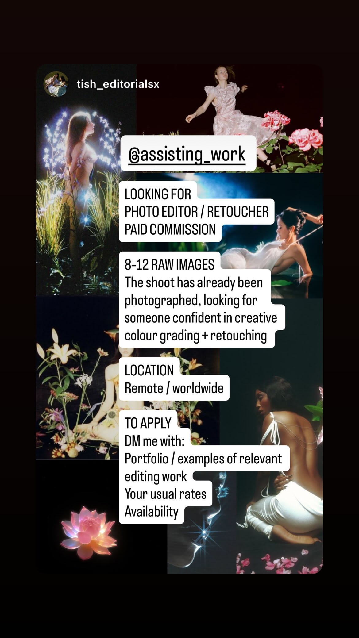 Job post media