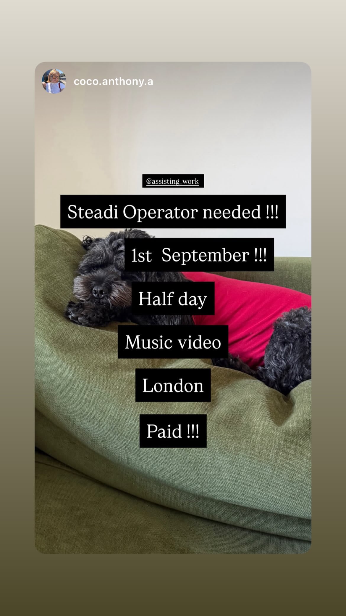 Job post media