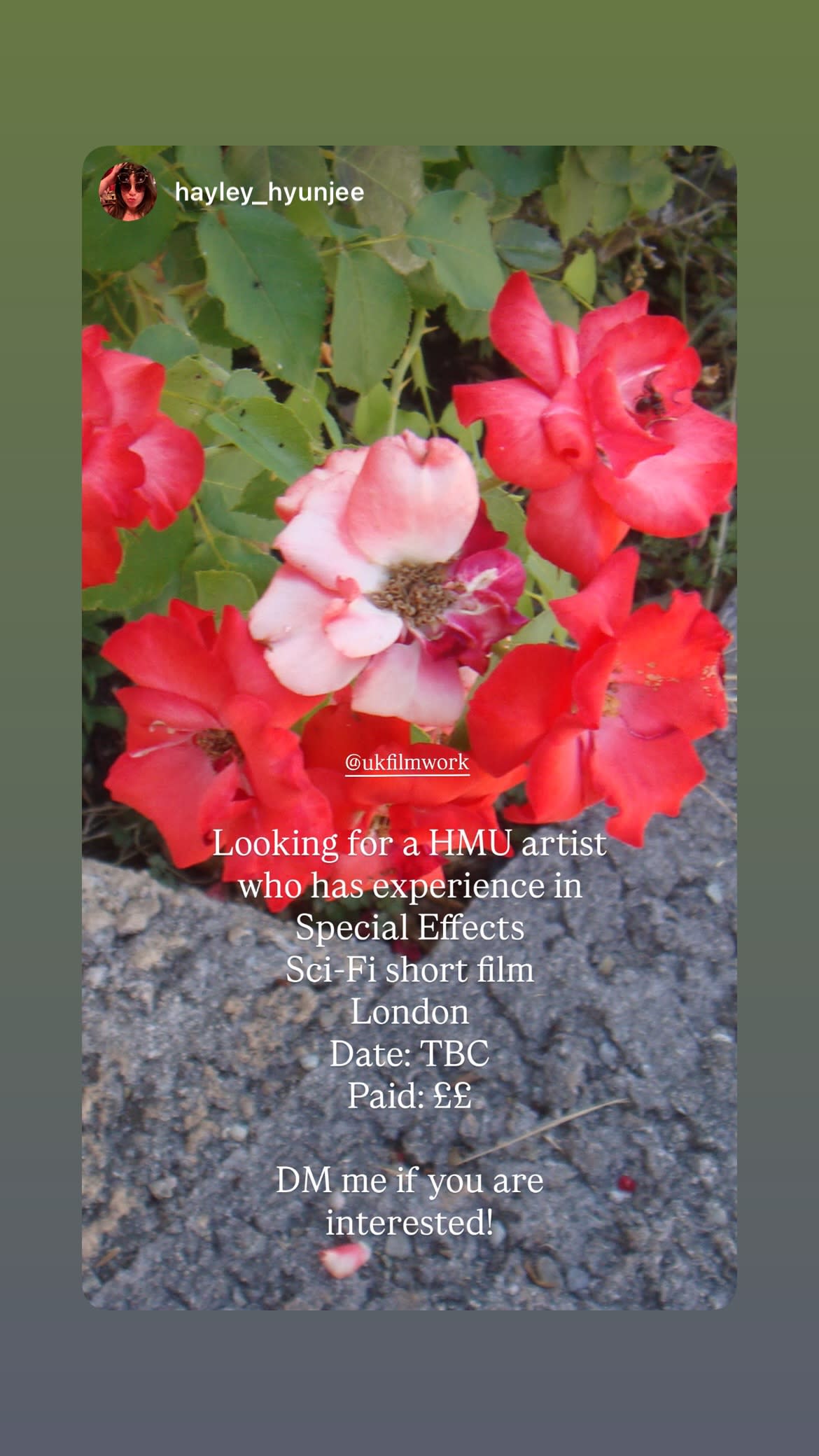 Job post media