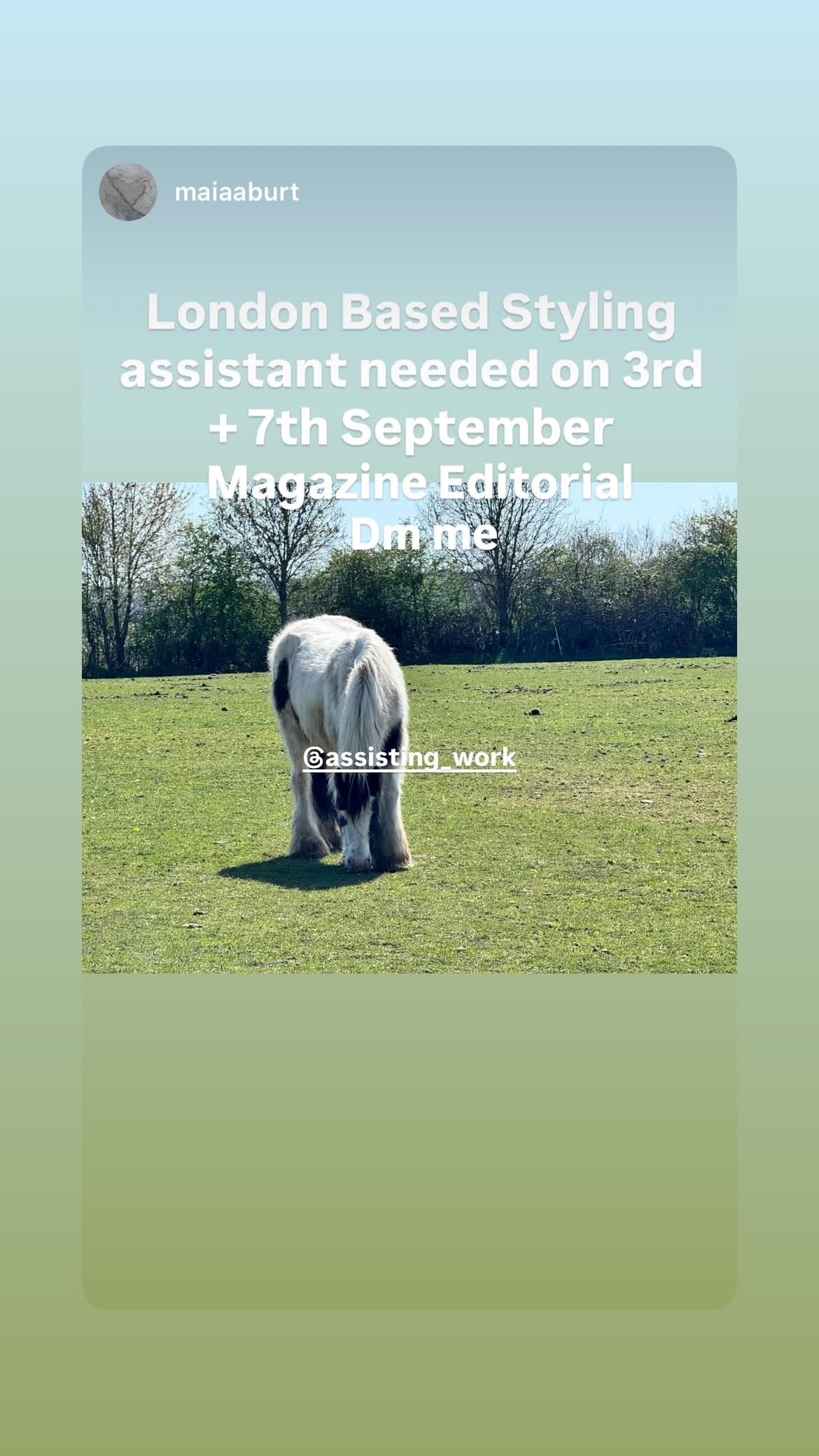 Job post media