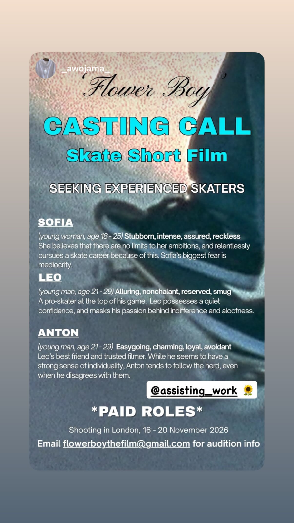 Job post media