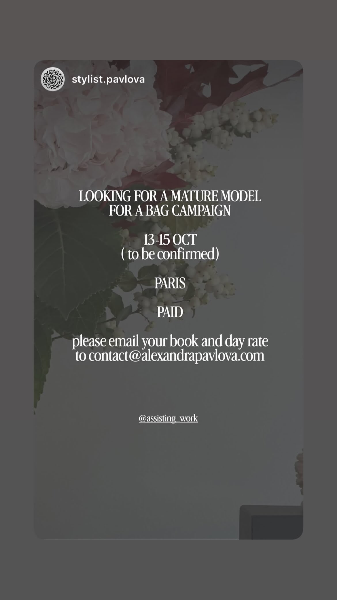 Job post media