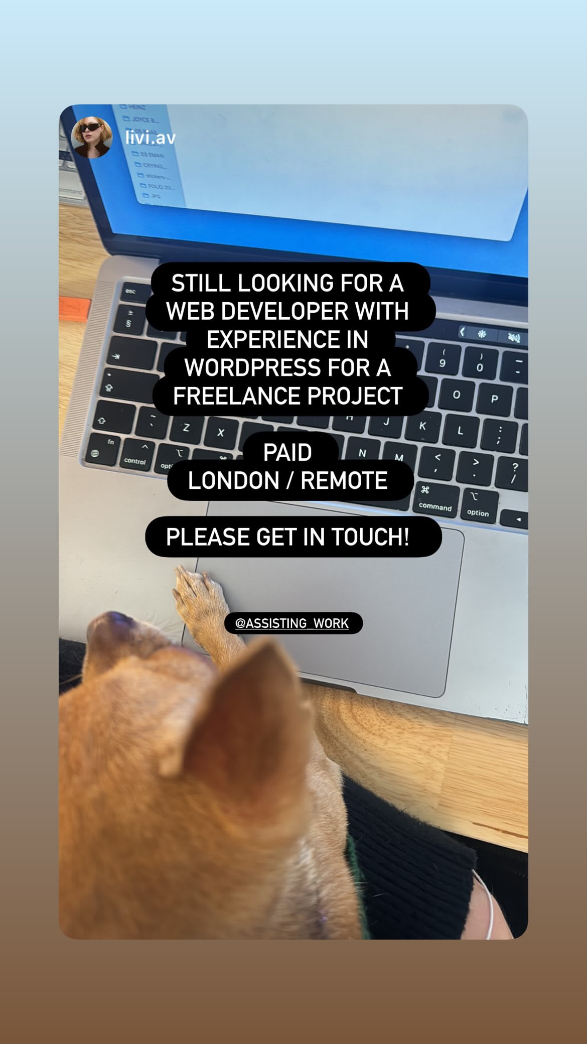 Job post media