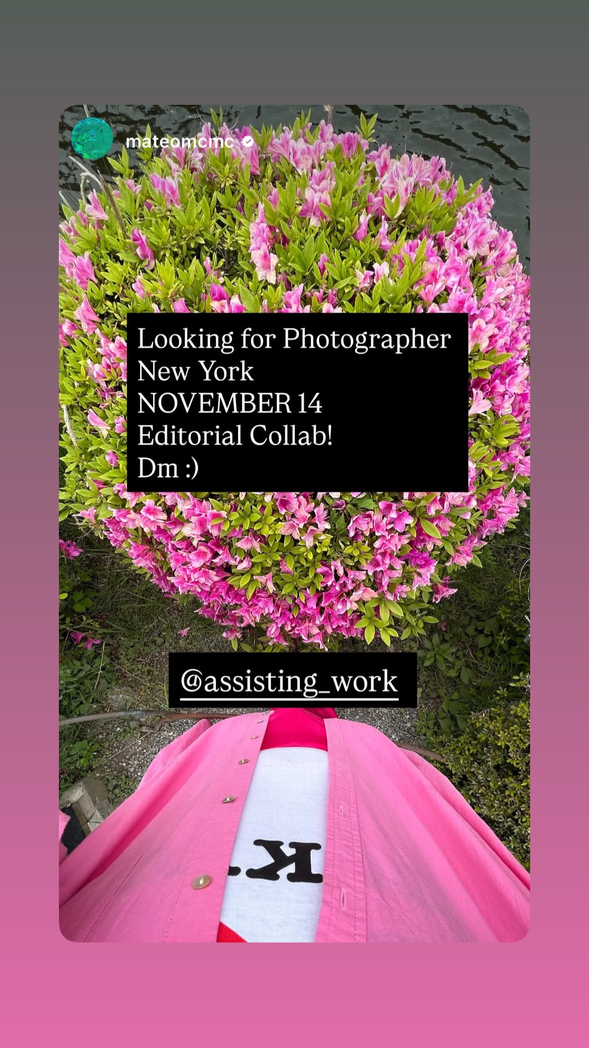 Job post media