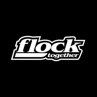 @flocktogether.world