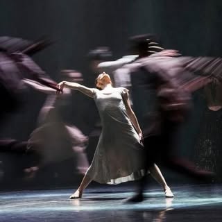 @lacostumbredelaapatia