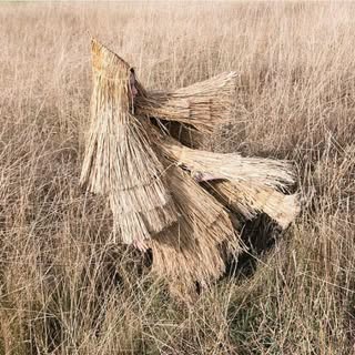 @lorenavarelaphoto__