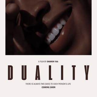 @dualitytheseries