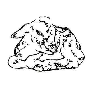 @sashadonnellanstudio