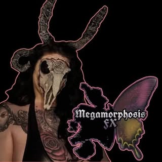 @megamorphosisfx