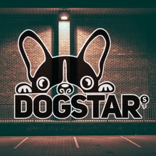 @dogstar.studio