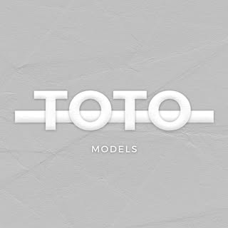 @intotomodels