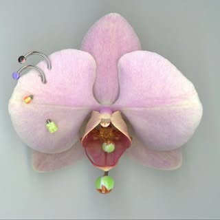 @aandre_st