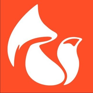 @fellowfox_