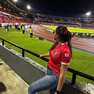 @ley13