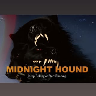 @midnighthoundfilm