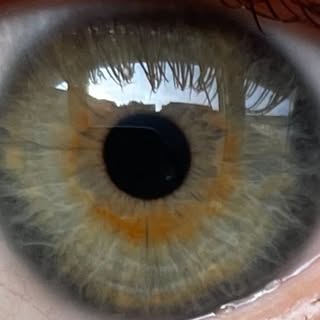 @_amywilmot