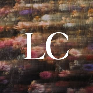 @leconsultantcolombia