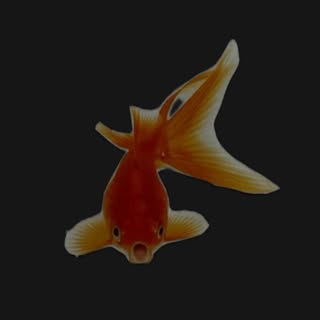 @outofwatercollective