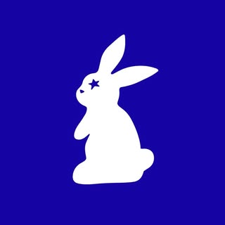 @the.silver.bunny