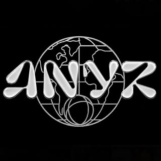 @anyzworld