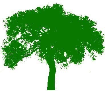 @treepettscasting