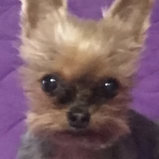 @u.z.i.n