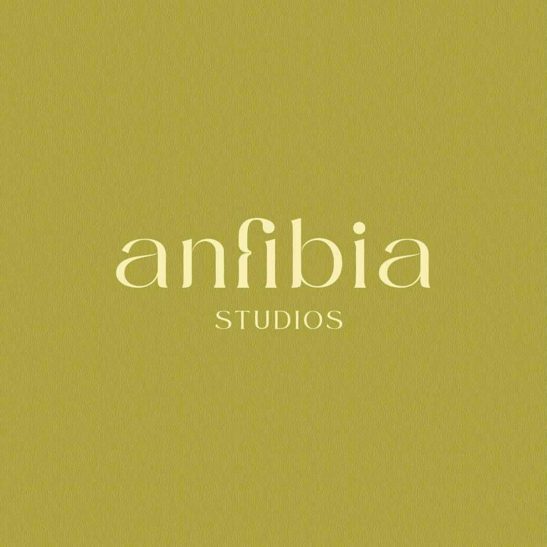 @anfibiastudios_