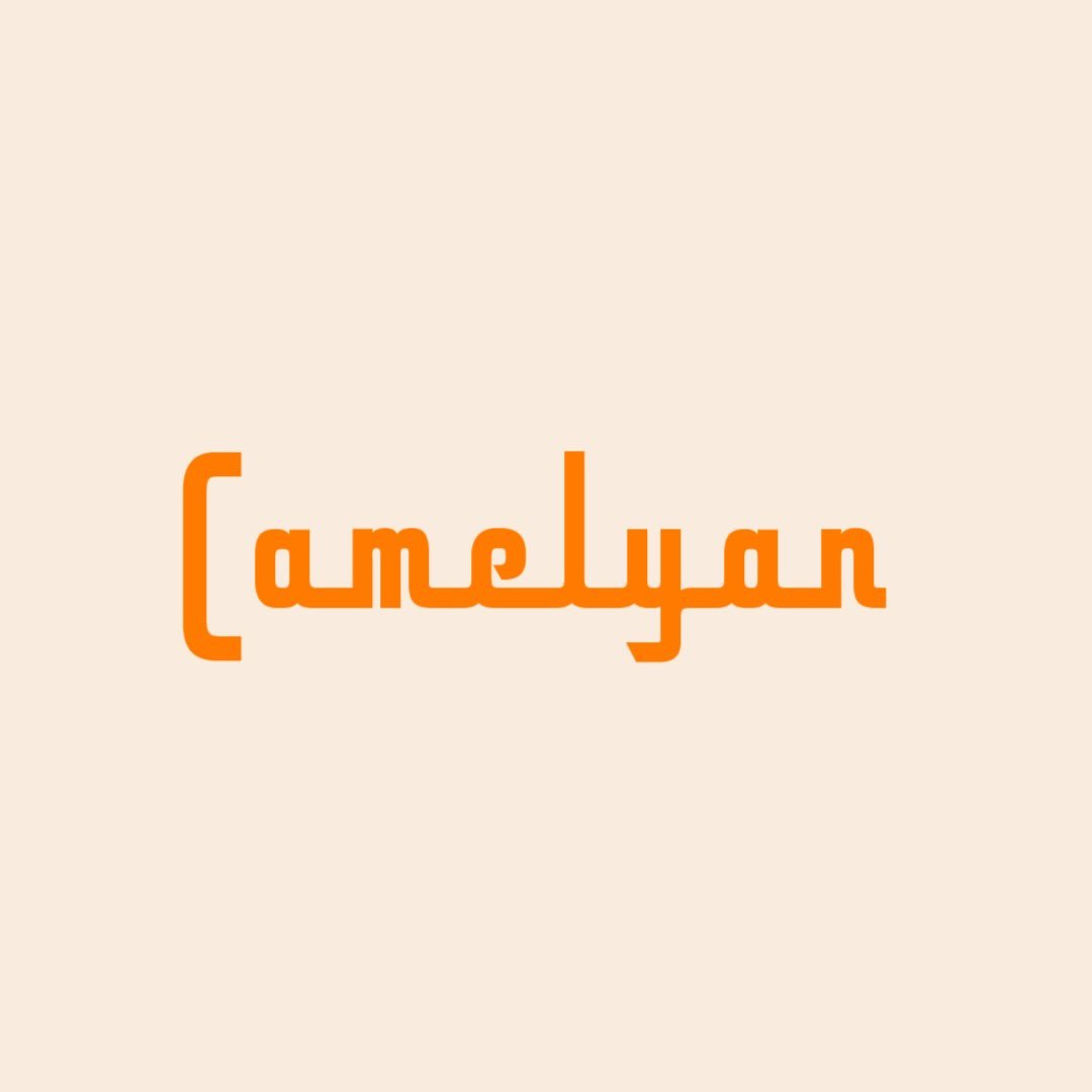 @camelyan.official