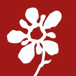 @cultocreativoo